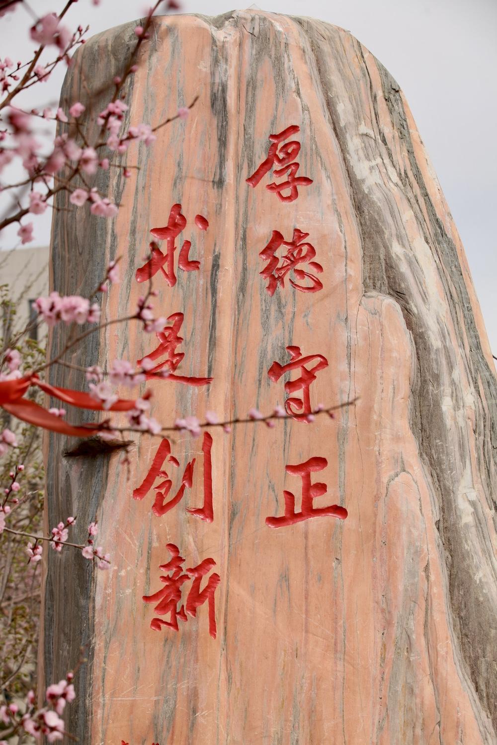 关于完成2024年专业技术人员继续教育学习有关工作的通知